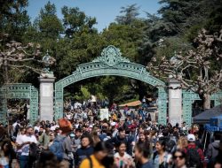 Master Of Advanced Studies Dalam Dunia Teh Yang Kaya