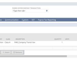 Netsuite Advanced Electronic Bank Payments Yang Efisien