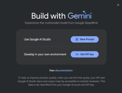 Gemini Advanced Api Key Untuk Kemudahan Integrasi